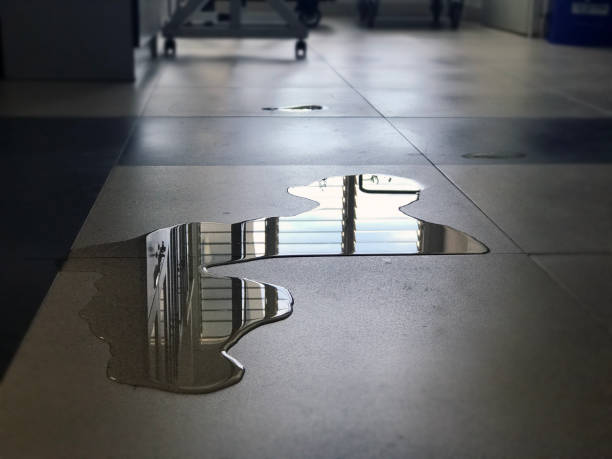 Best Water damage restoration company  in New Plymouth, ID
